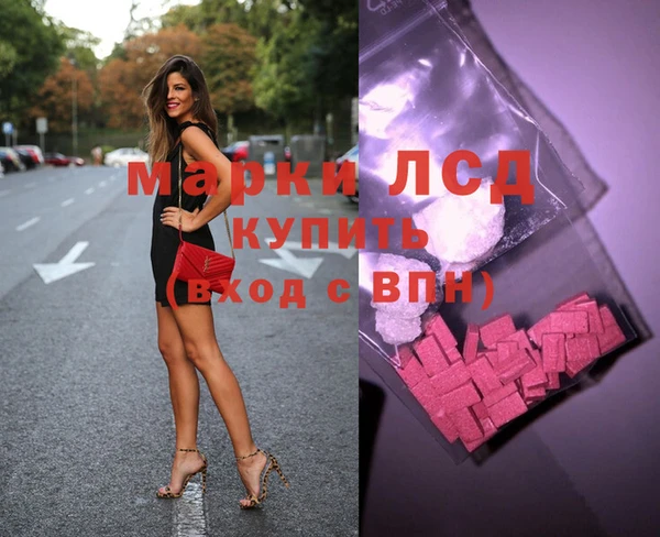 ГАЛЛЮЦИНОГЕННЫЕ ГРИБЫ Аркадак