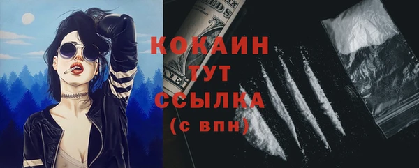 ГАЛЛЮЦИНОГЕННЫЕ ГРИБЫ Аркадак