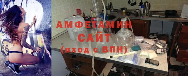 ГАЛЛЮЦИНОГЕННЫЕ ГРИБЫ Аркадак