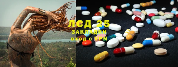 ГАЛЛЮЦИНОГЕННЫЕ ГРИБЫ Аркадак