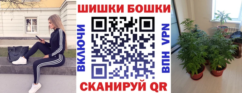 купить  сайты  Свирск  Бошки марихуана VHQ 